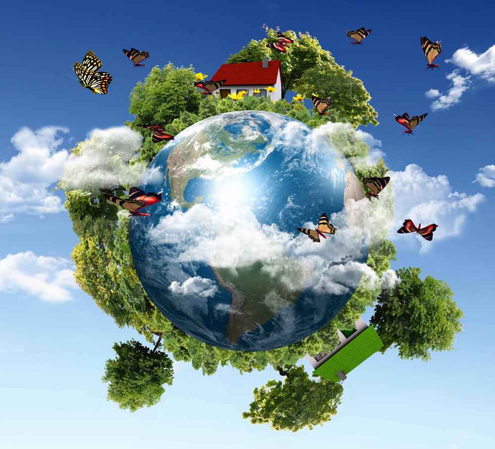 environmental management
